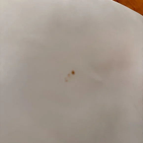 Vintage Satin Nylon Bomber Jacket Dorchester Swingers Cambridge Maryland M Linda - Picture 6 of 8